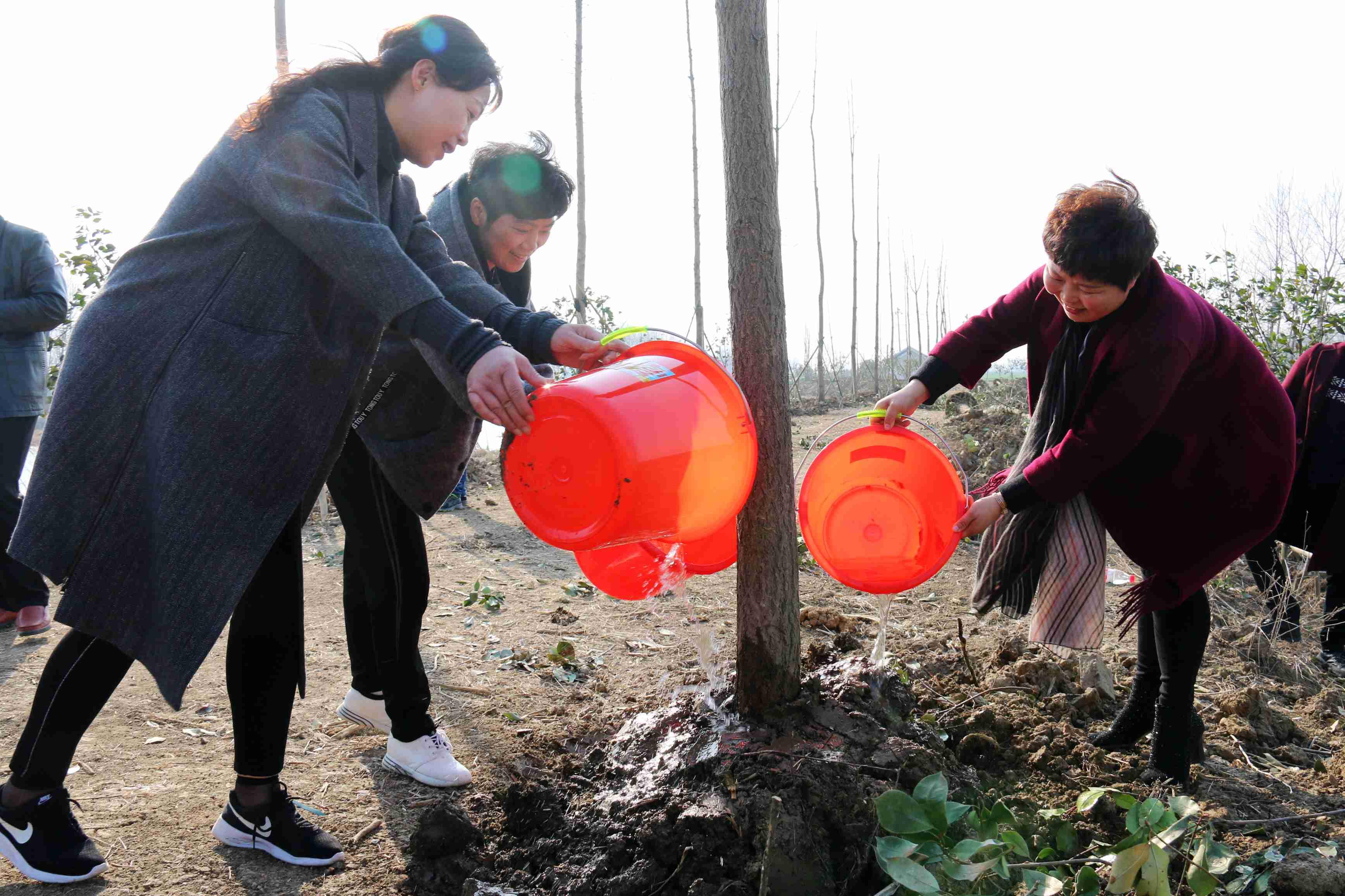 图5:洪泽区新联会会员为新种植树苗浇水.jpg