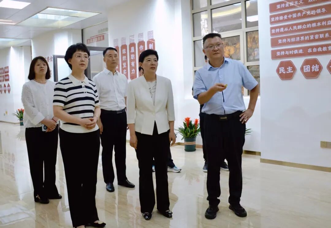 市领导调研民建市委会工作