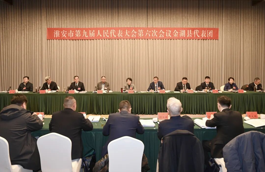 吴晓丹参加金湖县代表团审议